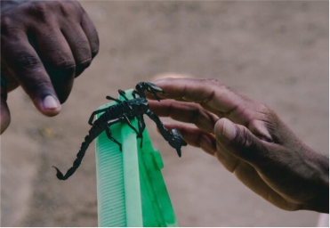 Have Your Say In Shaping Health And Community